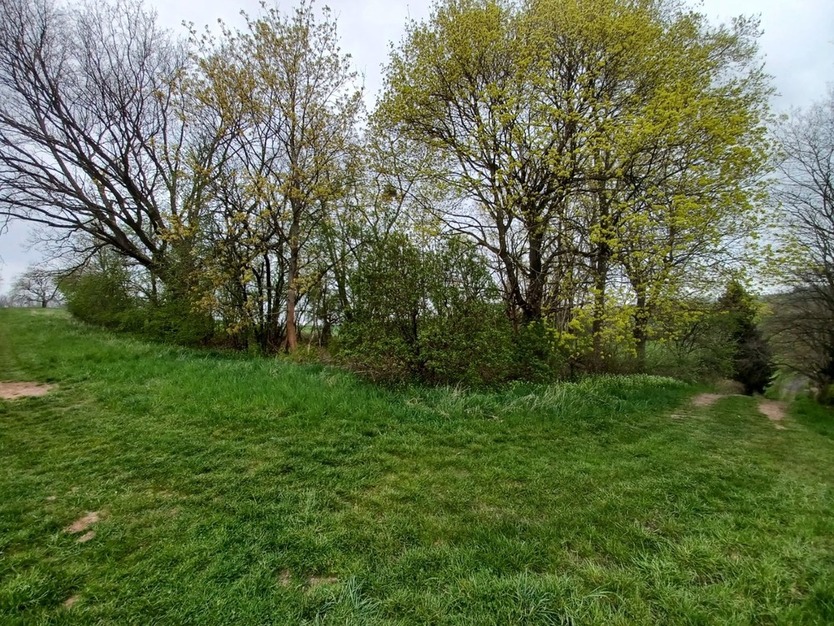 Gebotsverfahren: Waldgrundstück mit ehemaligem Trinkwasserbehälter in Rhumspringe (Landkreis Göttingen) zu verkaufen zimmer
