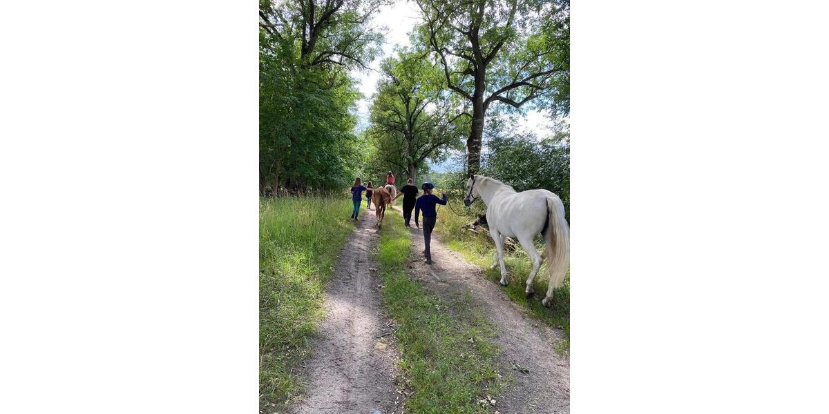 Loft - Studio - Atelier Löwenberger Land - 3 Zimmer, 68 m&sup2;, 68.000&euro; | Angebot:25841052