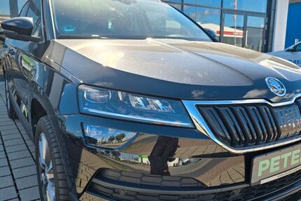 Skoda Karoq 42.250 km 28.310 &euro; Barth 18356