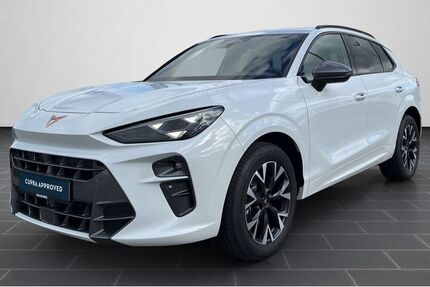 Cupra Terramar 8.107 km 35.730 &euro; Bingen / Rhein 55411