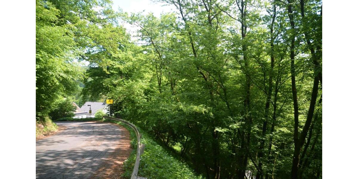 Grundstück Reichshof - 33.333&euro; | Angebot:25764344