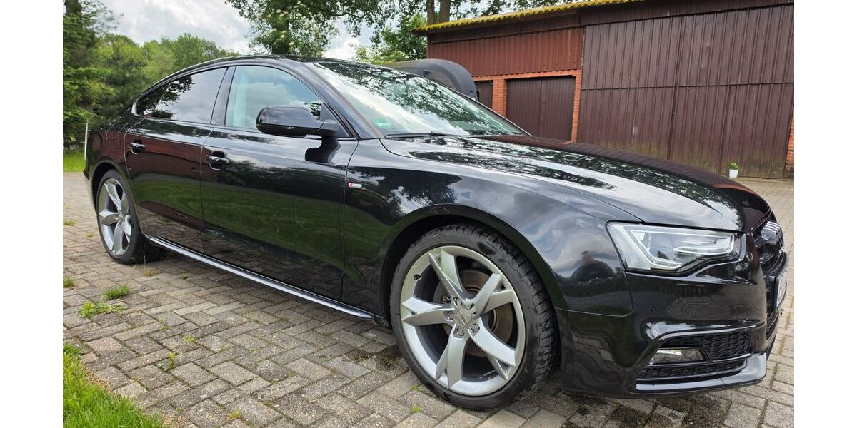 Audi A5 114.435 km 17.300 &euro; Lingen 49811