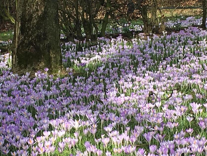 Wohnhaus mit landwirtschaftlichen Nebengebäuden zimmer