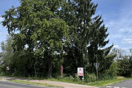 Grundstück zu verkaufen in Döbern 35.000 € 1877 m² zimmer
