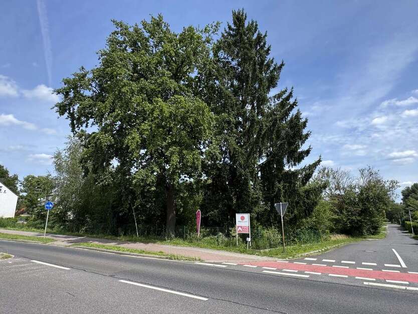 Grundstück zu verkaufen in Döbern 35.000 € 1877 m² zimmer