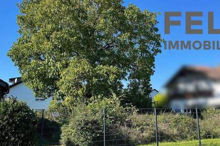 Grundstück Dieburg - 510.000&euro; | Angebot:24025042