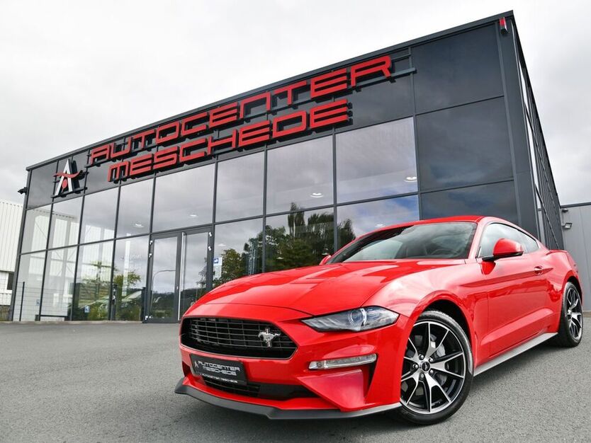 Mustang