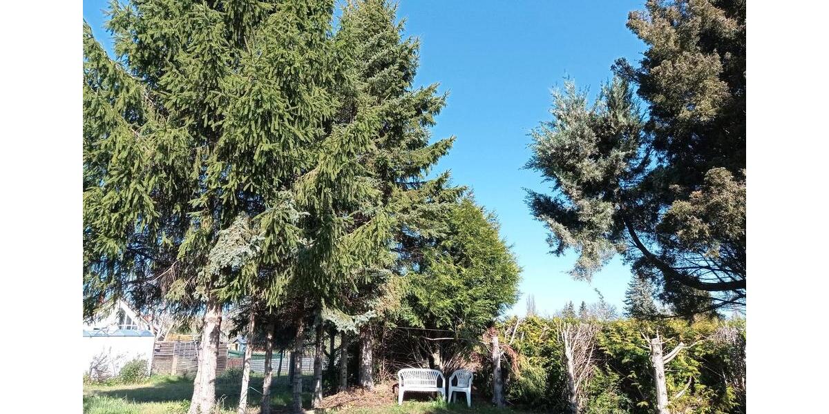Grundstück Hörselberg-Hainich Hainich - 1.400&euro; | Angebot:26480411