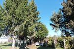 Grundstück Hörselberg-Hainich Hainich - 1.400&euro; | Angebot:26480411