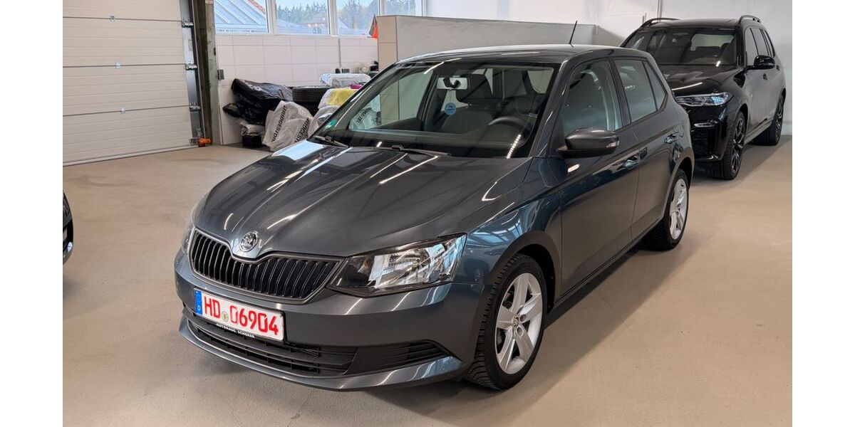 Skoda Fabia 145.000 km 6.500 &euro; Walldorf 69190