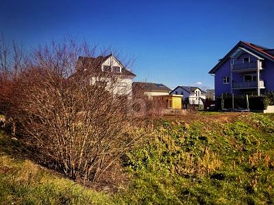 DIREKT BEBAUBAR, PLANUNGSSICHER - Grundstück Bahlingen am Kaiserstuhl | Angebot:26230265