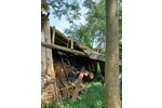 Landwirtschaftliche Flächen mit Potenzial in 21629 Neu Wulmstorf - Gewerbeobjekt Neu Wulmstorf | Angebot:26479469