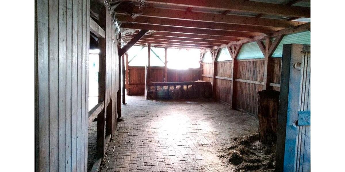 Einfamilienhaus Wiesmoor - 4 Zimmer, 150 m&sup2;, 350.000&euro; | Angebot:26257397