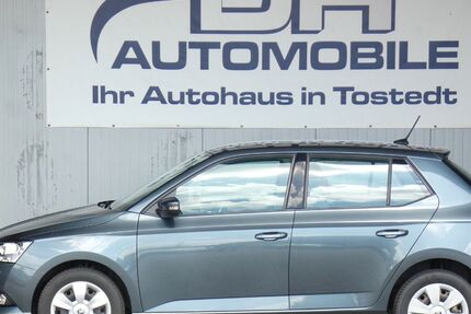 Skoda Fabia 144.488 km 8.690 &euro; Tostedt 21255