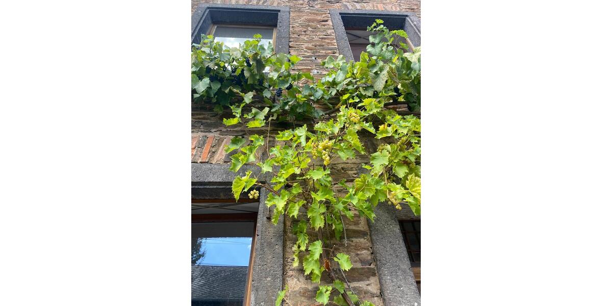Einfamilienhaus Bruttig-Fankel Fankel - 7 Zimmer, 126 m&sup2;, 269.000&euro; | Angebot:26677347
