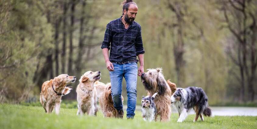 Sami El Ayachi - Der zugewandte Hund! 28.01.2027 Brunsviga