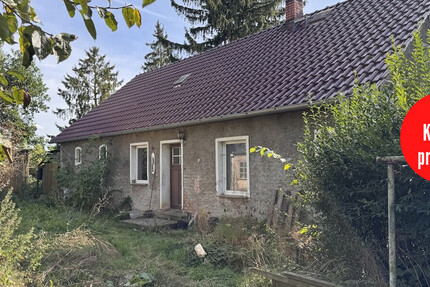HORN IMMOBILIEN ++ RESERVIERT++Brietzig bei Pasewalk, Haus mit großem Grundstück, stark sanierungsbedürftig 3 zimmer