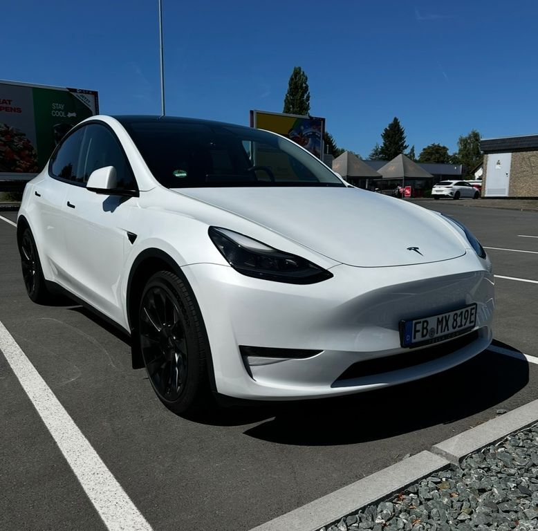 Model Y