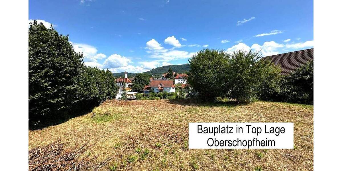 Bauplatz mit Panoramablick in Friesenheim-Oberschopfheim zimmer