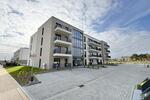 Terrassenwohnung Schleswig - 2 Zimmer, 64 m&sup2;, 1.182&euro; | Angebot:25805778