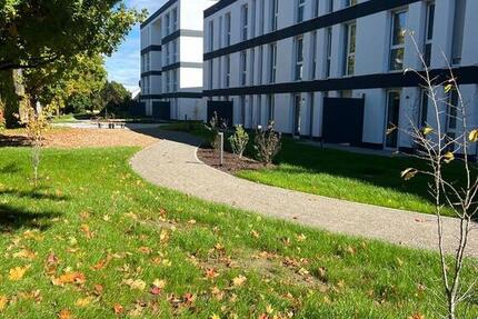 1,5-Zimmer-Neubau mit Dachterrasse – sofort einziehen 1.5 zimmer