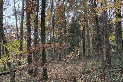 Grundstück in Pleinfeld 10.392 € 5196 m² zimmer