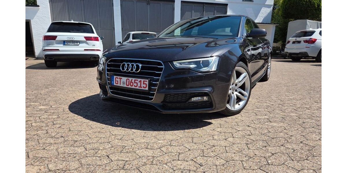 Audi A5 350.000 km 12.999 &euro; Werther 33824