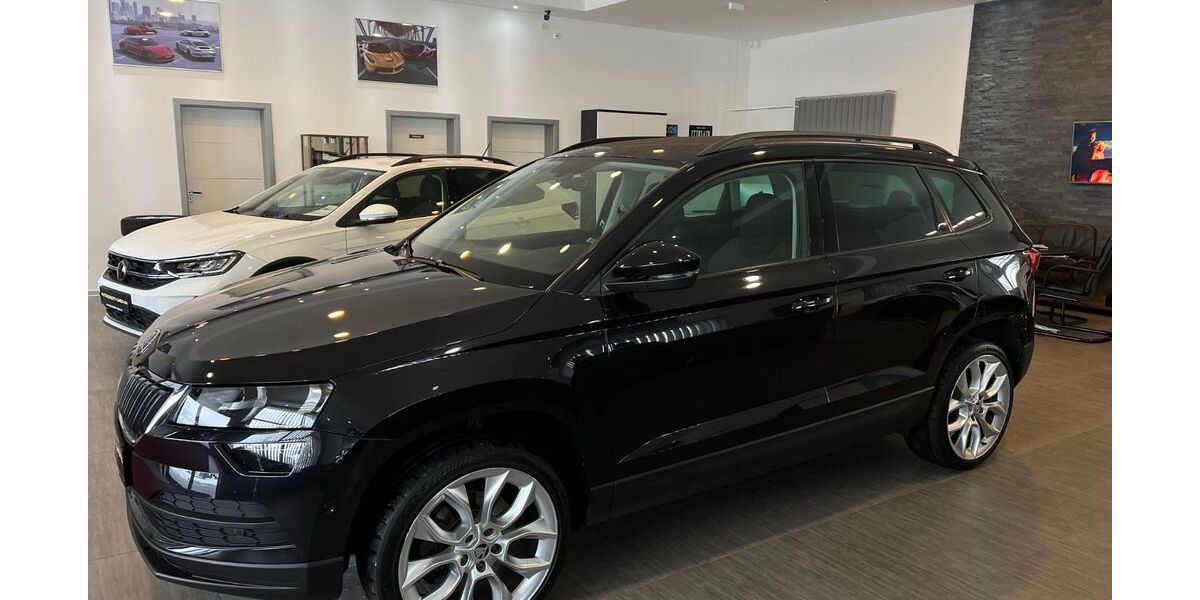 Skoda Karoq 156.866 km 16.985 &euro; Volkmarsen 34471