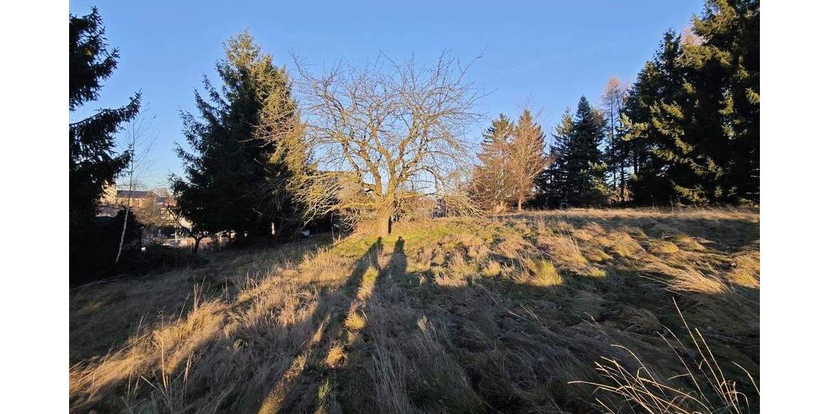 Einfamilienhaus Bobritzsch-Hilbersdorf Niederbobritzsch - 7 Zimmer, 250 m&sup2;, 130.000&euro; | Angebot:25696965