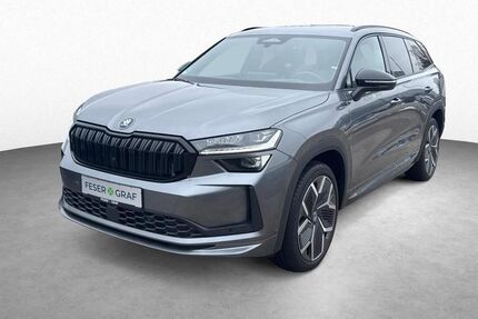 Skoda Kodiaq 8.300 km 46.580 &euro; Roth 91154