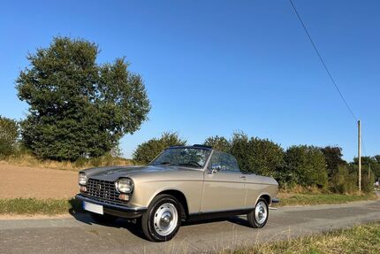 Peugeot 204