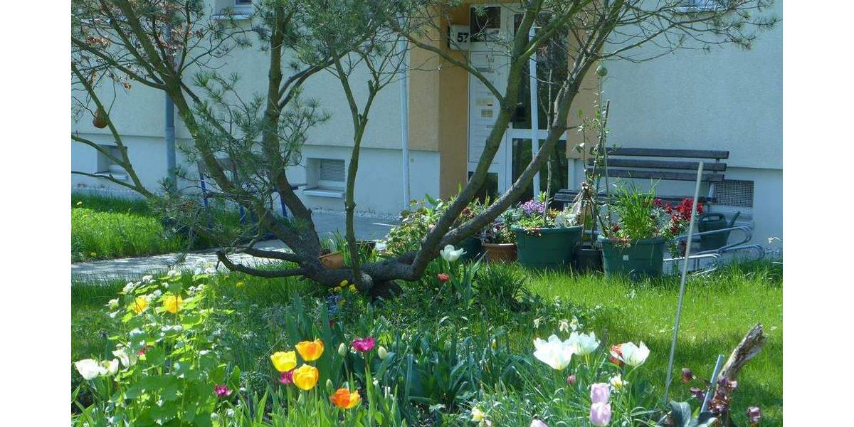 Etagenwohnung Borna - 2 Zimmer, 58 m&sup2;, 382&euro; | Angebot:25643520