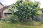 Bauernhaus, Landhaus Hoyerswerda - 4 Zimmer, 125 m&sup2;, 250.000&euro; | Angebot:26893217