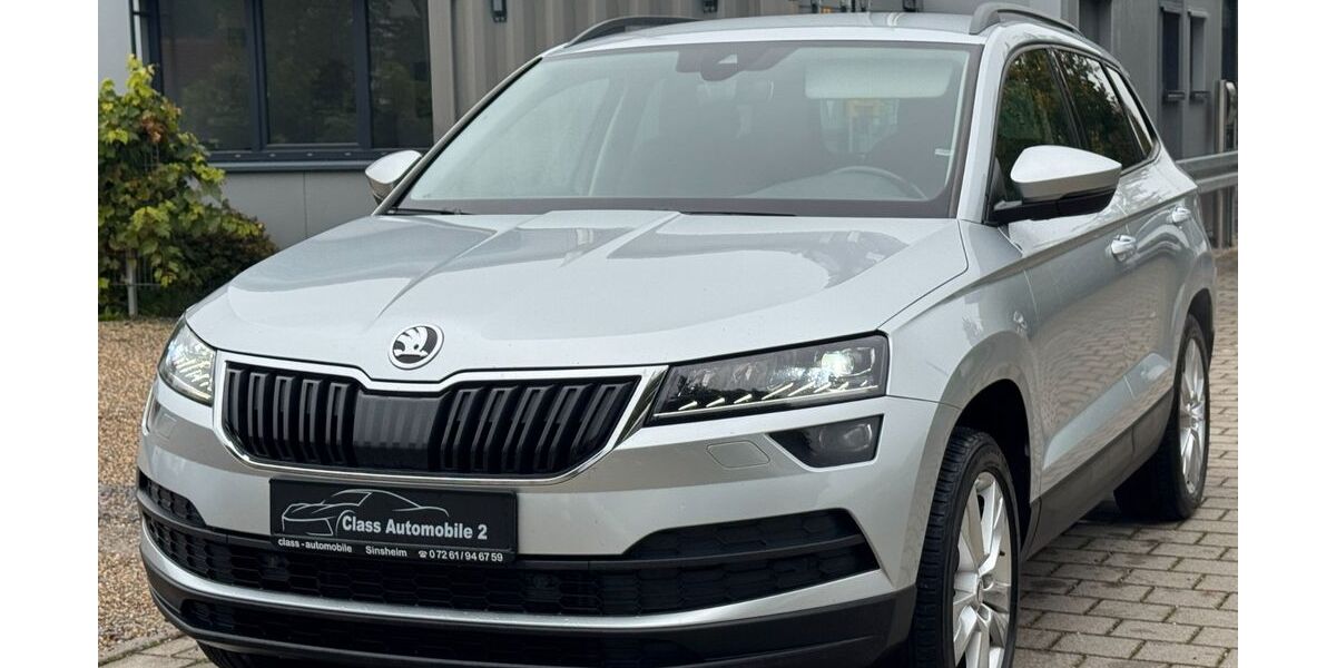Skoda Karoq 207.320 km 14.490 &euro; Zuzenhausen 74939