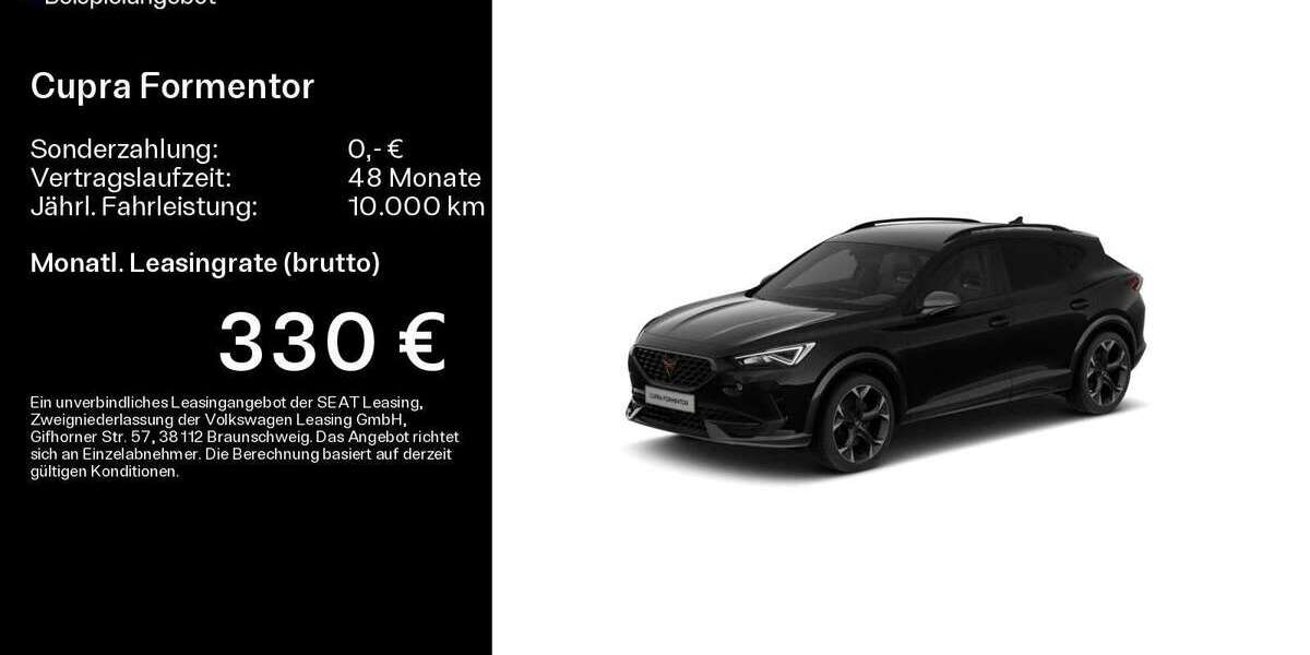 Cupra Formentor 17.200 km 26.999 &euro; Mühlheim a. Main 63165