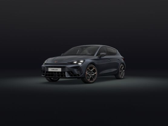 Cupra Leon 9.000 km 34.500 &euro; Reinbek 21465