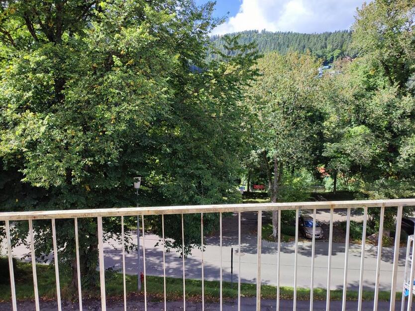 Gepflegte 2-Zimmer-Wohnungam Kurpark Bad sofort zu vermieten