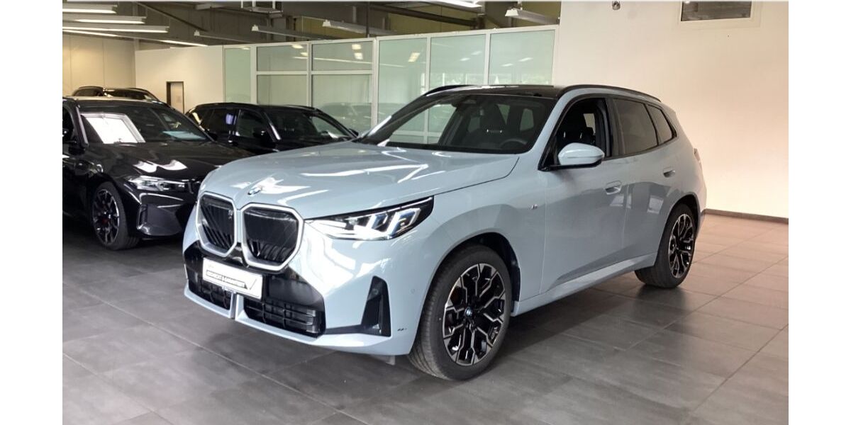 BMW X3 24.950 km 52.875 &euro; Pleisweiler-Oberhofen 76889