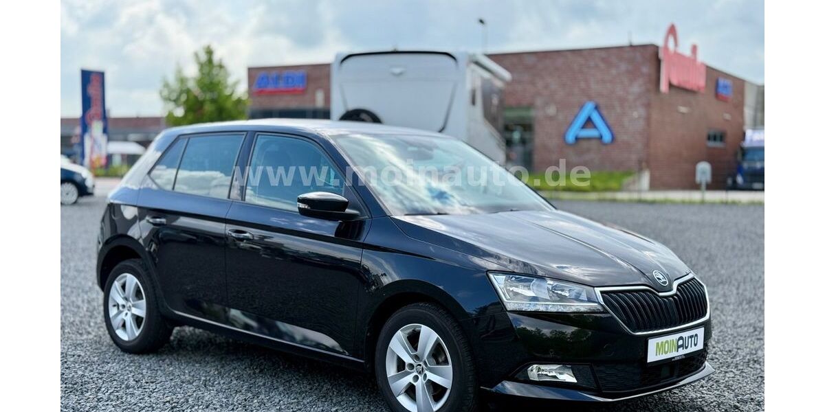 Skoda Fabia 28.600 km 13.490 &euro; Reinfeld 23858