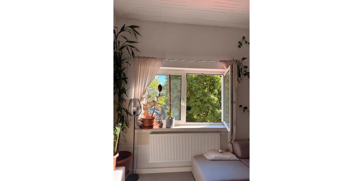 Etagenwohnung Wiesbaden Biebrich - 2 Zimmer, 67 m&sup2;, 1.060&euro; | Angebot:26680426