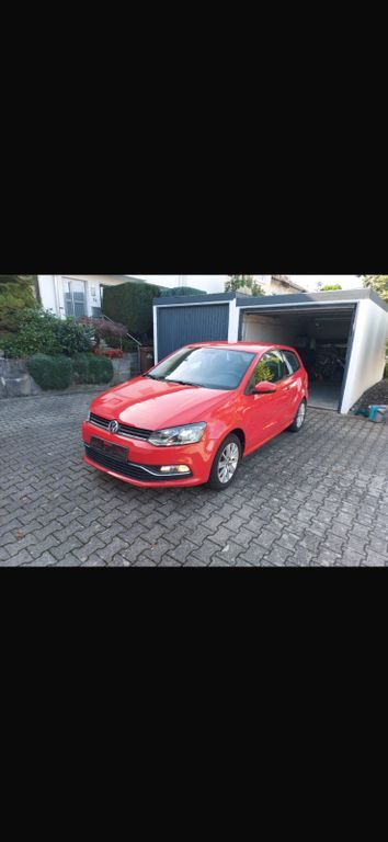 Polo