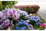 Reihenhaus Feuchtwangen - 5 Zimmer, 120 m&sup2;, 325.000&euro; | Angebot:26214106