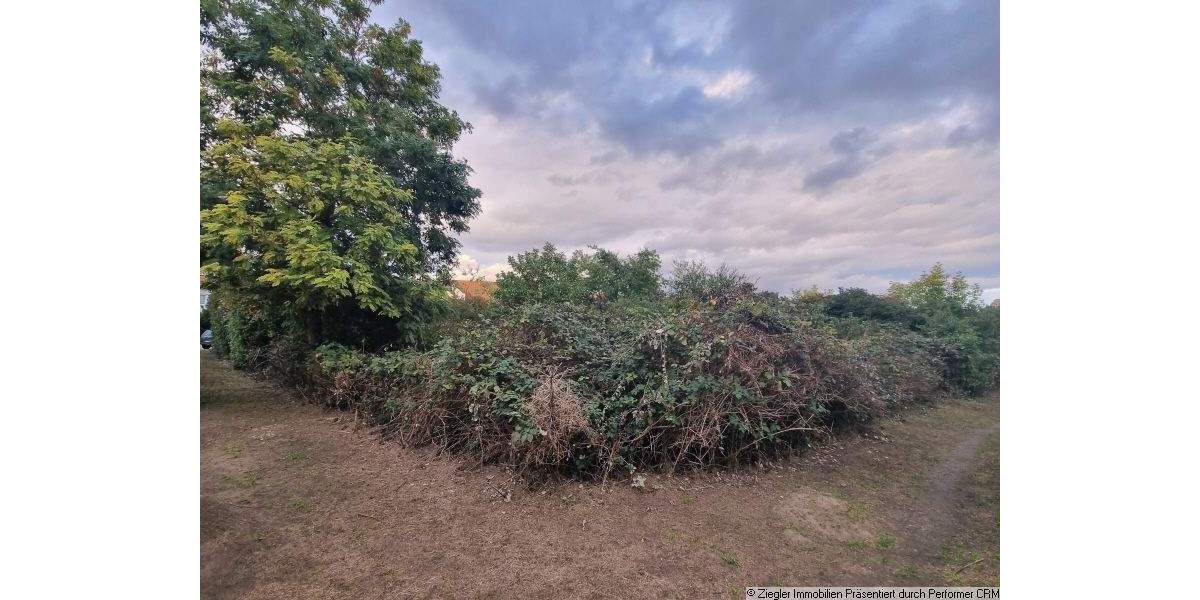 Grundstück Mannheim Seckenheim - 521.160&euro; | Angebot:24181042