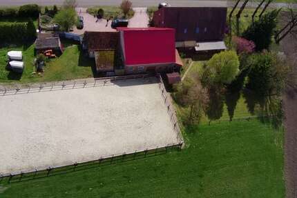 Haus Wagenfeld - 10 Zimmer, 300 m&sup2;, 489.000&euro; | Angebot:26227871