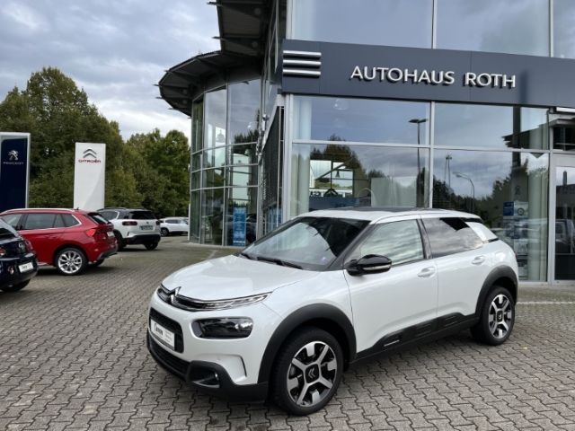 C4 Cactus