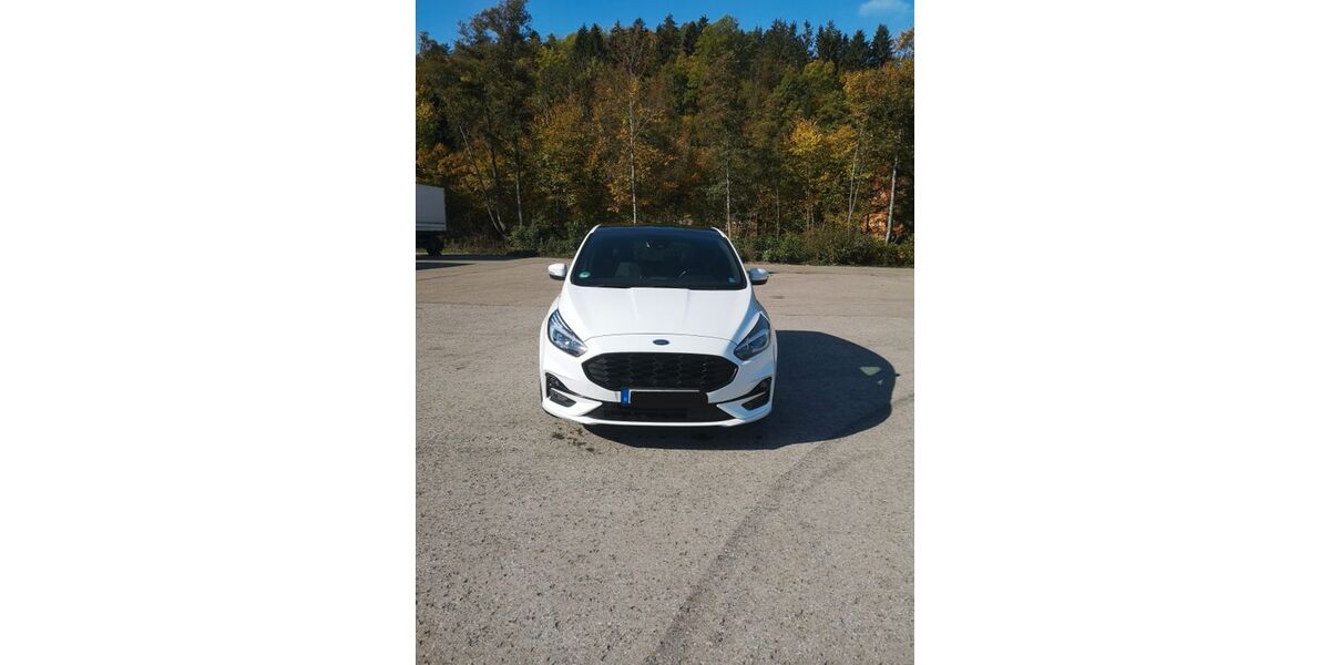 Ford S-Max 109.350 km 20.250 &euro; Nagold 72202