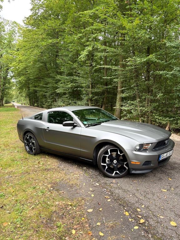 Mustang