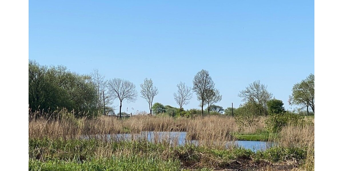 2 schöne Ferienhäuser in Nordseenähe! - Wohnanlage Nordermeldorf | Angebot:26770175