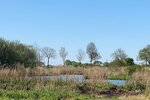 2 schöne Ferienhäuser in Nordseenähe! - Wohnanlage Nordermeldorf | Angebot:26770175