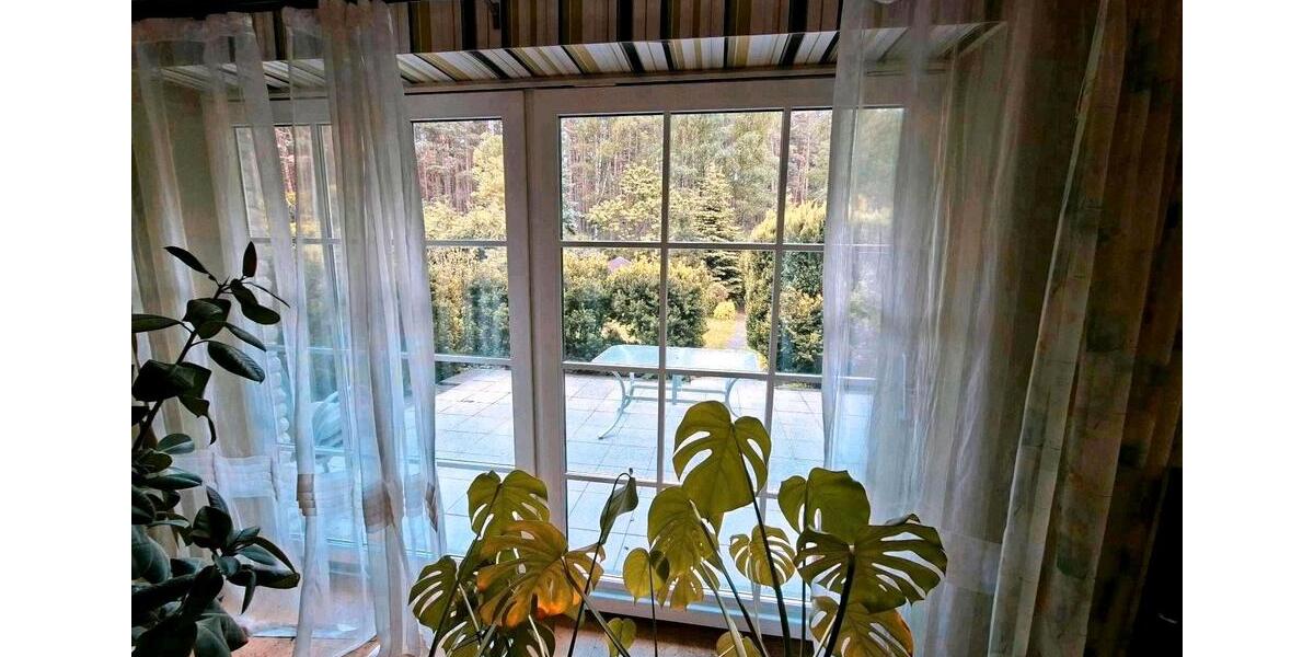 Einfamilienhaus Hitzacker (Elbe) - 7 Zimmer, 250 m&sup2;, 429.000&euro; | Angebot:26839189